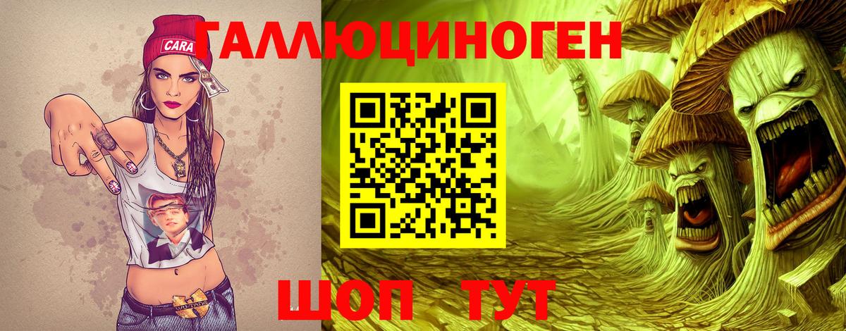 Нижнекамск  Галлюциногенные грибы прущие грибы  Вход с VPN 